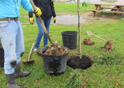 CenterPoint Energy Volunteers Plant Trees at Harbor Campus 9