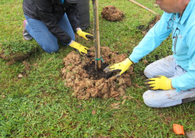CenterPoint Energy Volunteers Plant Trees at Harbor Campus 11