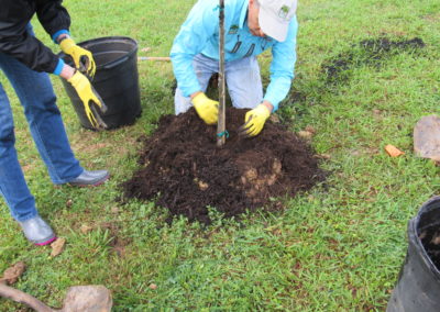 CenterPoint Energy Volunteers Plant Trees at Harbor Campus 12