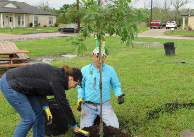 CenterPoint Energy Volunteers Plant Trees at Harbor Campus 13