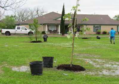 CenterPoint Energy Volunteers Plant Trees at Harbor Campus 24