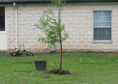 CenterPoint Energy Volunteers Plant Trees at Harbor Campus 30